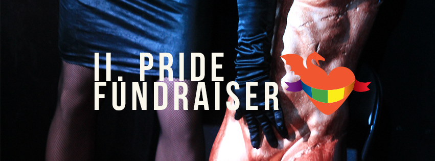 2pridefundraiser2342016